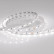 Лента светодиодная Arlight RT 2-5000 24V White6000 2x (5060, 300 LED, LUX) 008829(B)