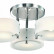 Потолочная люстра EVOLUCE Foresta SL483.502.03