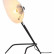 Настольная лампа декоративная ST-Luce Spruzzo SL305.404.01