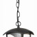 Подвесной светильник ST-Luce Sivino SL081.403.01