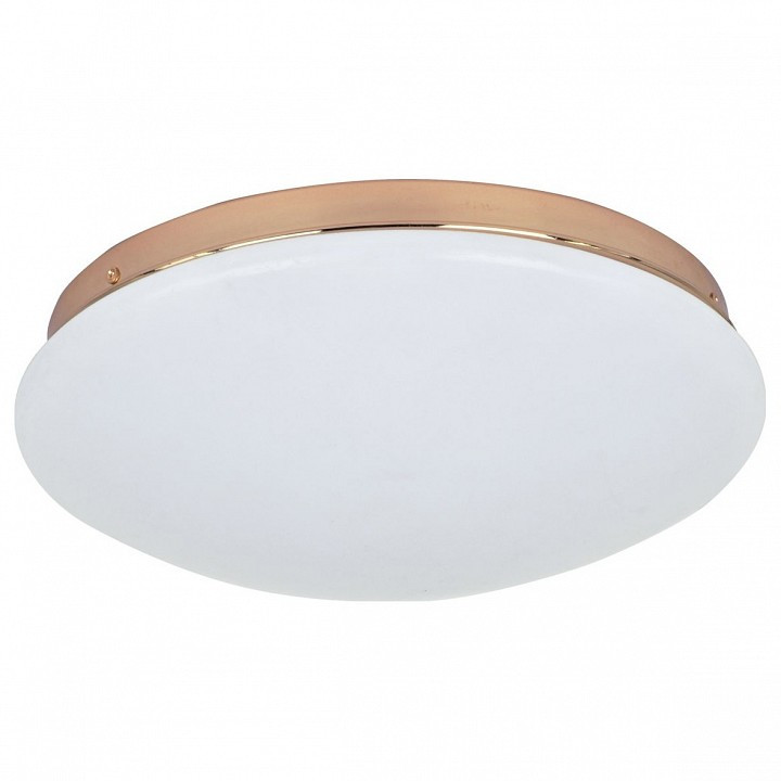 Накладной светильник F-promo Ledante 2465-2C