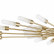 Потолочная люстра Lightstar Ragno 732283