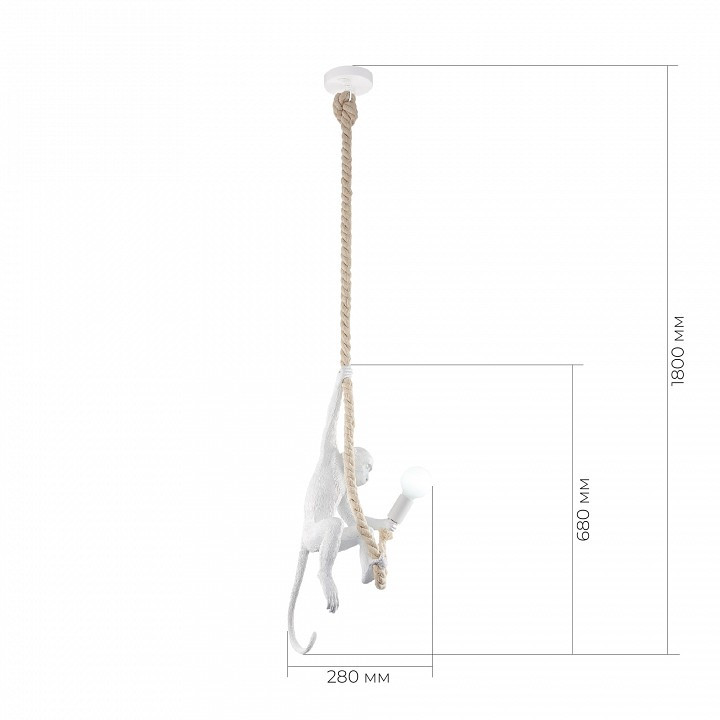 Подвесной светильник EVOLUCE TENATO SLE115103-01