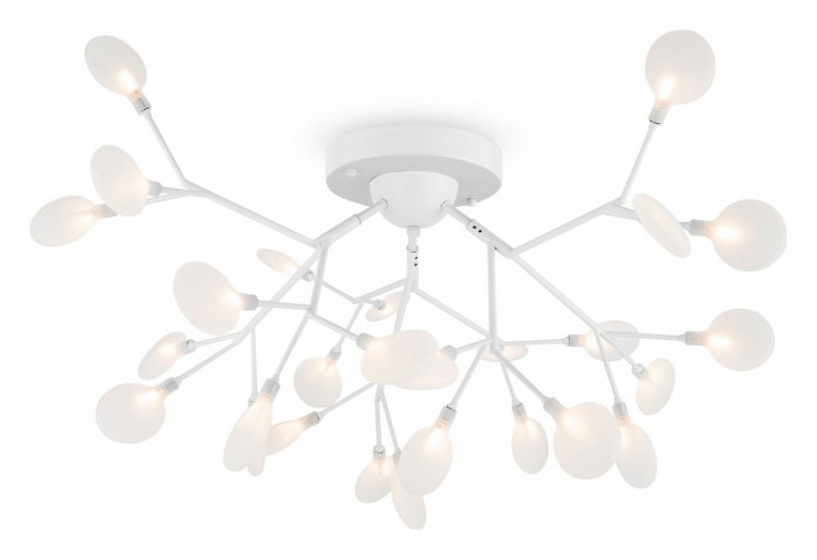 Потолочная люстра Freya Florencia FR5049CL-27W2