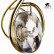 Потолочная люстра Arte Lamp Millo A9549PL-5GO