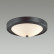 Накладной светильник Lumion Nina 5260/2C
