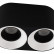 Накладной светильник Denkirs DK3040 DK3096-BW+BK