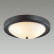 Накладной светильник Lumion Nina 5260/3C
