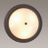 Накладной светильник Lumion Nina 5260/3C