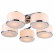 Потолочная люстра Arte Lamp Manhattan A9495PL-5CC