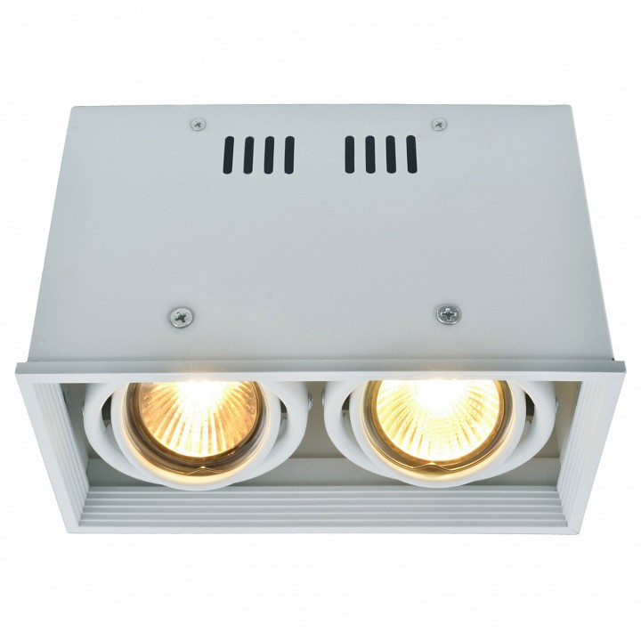 Накладной светильник Arte Lamp Cardani A5942PL-2WH