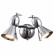 Бра Arte Lamp Picchio A9229AP-2CC