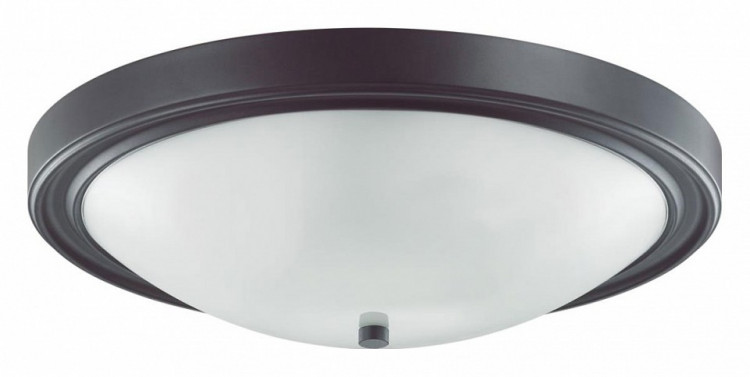 Накладной светильник Lumion Nina 5260/4C