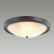 Накладной светильник Lumion Nina 5260/4C