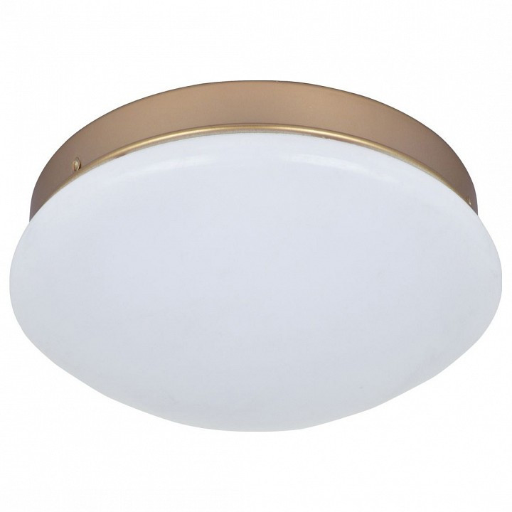 Накладной светильник F-promo Ledante 2466-1C