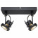 Спот Arte Lamp Costruttore A4300AP-2BK