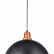Подвесной светильник Arte Lamp Eurica A4249SP-1BK
