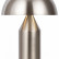 Настольная лампа декоративная Freya Eleon FR5218TL-02N