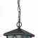 Подвесной светильник ST-Luce Lorne SL084.403.01