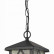Подвесной светильник ST-Luce Lorne SL084.403.01