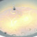 Накладной светильник Arte Lamp Ariel A4806PL-1CC