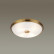 Накладной светильник Odeon Light Pelow 4956/4