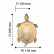 Накладной светильник Favourite Turtle 2254-1W