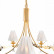 Подвесная люстра Arte Lamp Fuji A1626LM-5GO