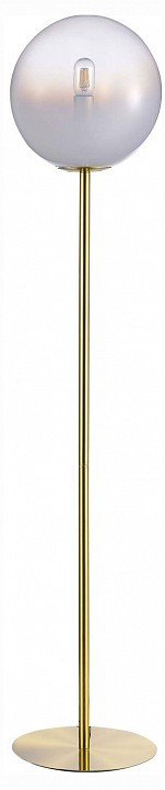 Торшер ST-Luce Cassius SL1190.205.01
