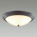 Накладной светильник Lumion Kayla 5263/3C