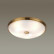 Накладной светильник Odeon Light Pelow 4956/5