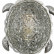 Накладной светильник Favourite Turtle 2255-1W