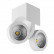 Светильник на штанге Lightstar Snodo 055363
