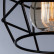 Накладной светильник Arte Lamp 1109 A1109PL-1BK
