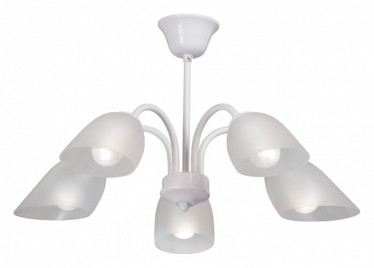 Люстра на штанге Vitaluce V3336 V3336-0/5PL