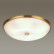 Накладной светильник Odeon Light Pelow 4956/6