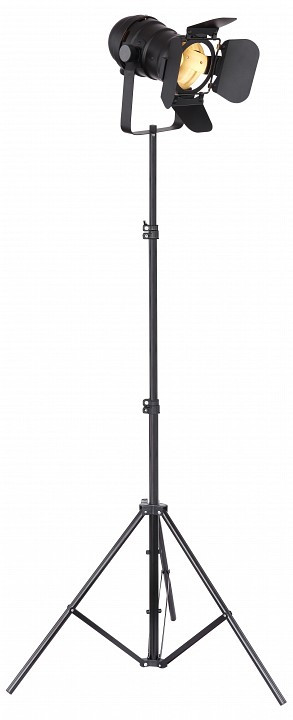 Торшер Globo Egon 54650-1SB
