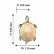 Накладной светильник Favourite Turtle 2256-1W