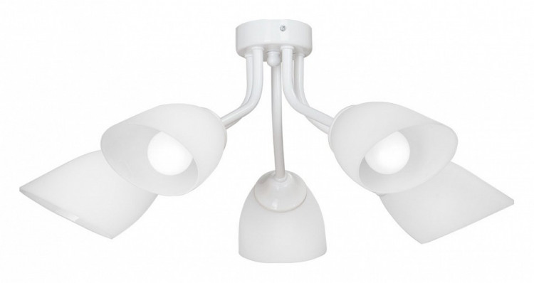 Потолочная люстра Vitaluce V3184 V3184/5PL
