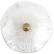 Накладной светильник Loft it Bloom 10352W/A AB
