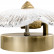 Накладной светильник Loft it Bloom 10352W/A AB