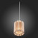 Подвесной светильник ST-Luce Versita SL400.103.01