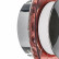 Накладной светильник Lightstar Celesta 809012
