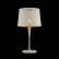 Настольная лампа декоративная Maytoni Lantern MOD029-TL-01-W