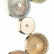 Бра Odeon Light Caramella 5412/25WL