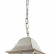 Подвесной светильник Arte Lamp Berlin A1015SO-1WG