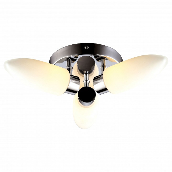 Накладной светильник Arte Lamp Aqua A9502PL-3CC