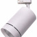 Светильник на штанге Lightstar Canno 303562