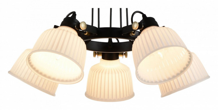 Подвесная люстра EVOLUCE SL714 SL714.403.05