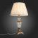 Настольная лампа декоративная ST-Luce Assenza SL966.304.01
